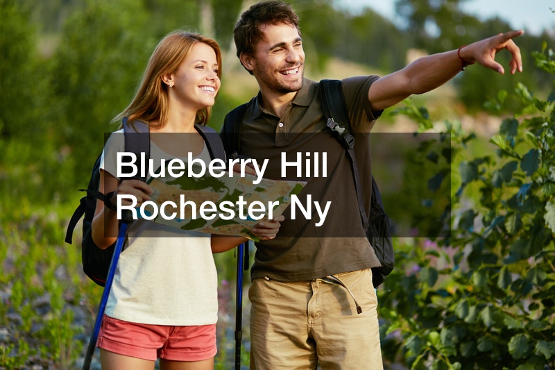 Blueberry Hill Rochester Ny Rochester Radio Stations